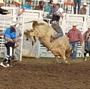 Meet your Posher, Bowdy